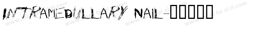 Intramedullary Nail字体转换